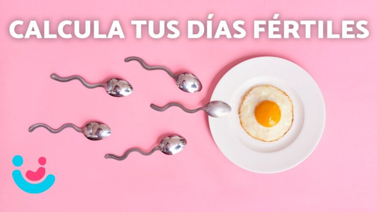 Descubre los días de ovulación en la mujer: ¡El secreto de la fertilidad!