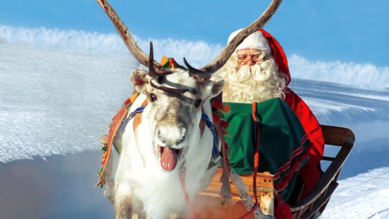 Descubre los nombres mágicos de los renos de Papá Noel
